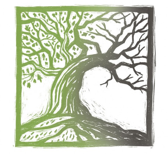 tree_cover tree_cover